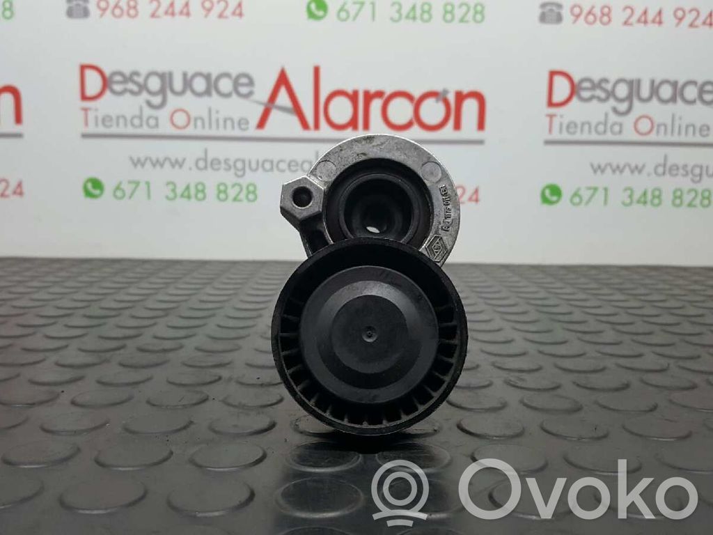 Renault Clio IV Întinzător curea generator/alternator 