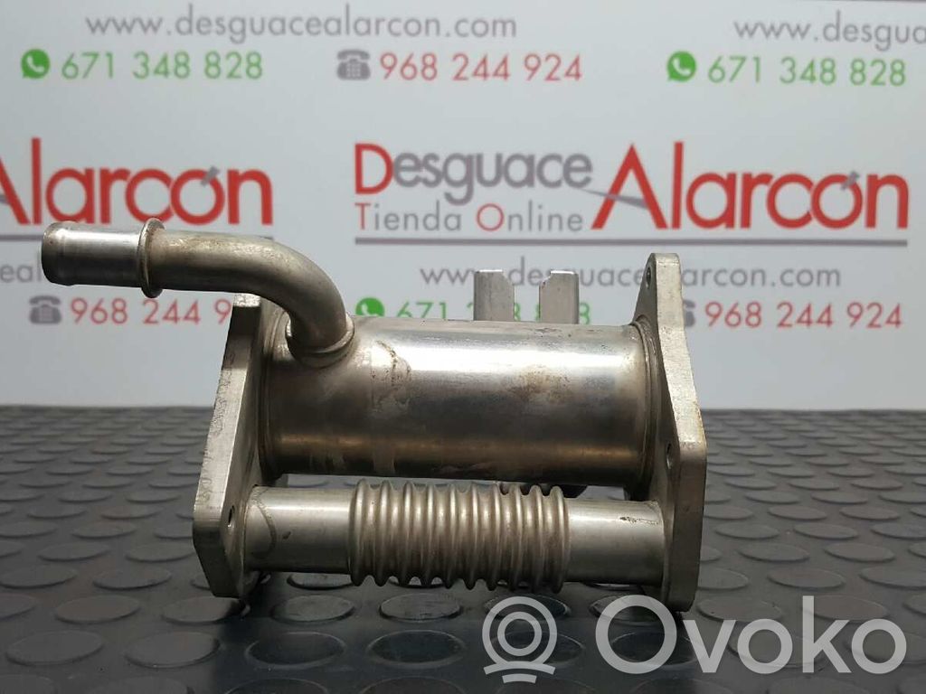 Renault Clio III Valvola di raffreddamento EGR
