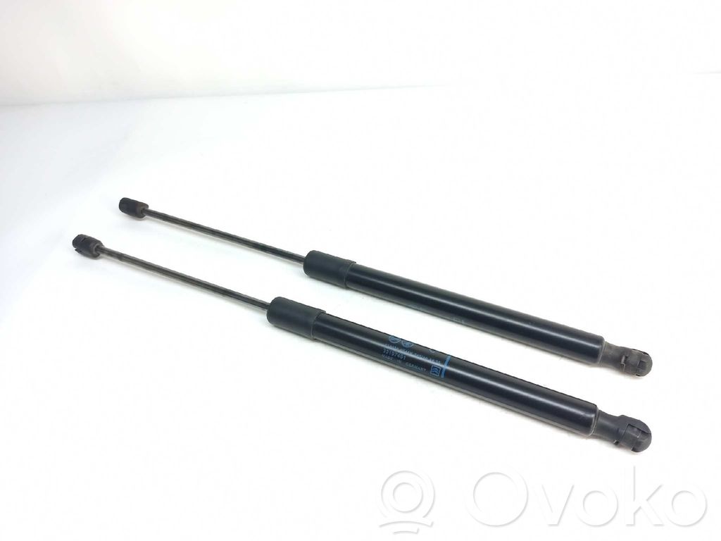 Citroen C3 Tailgate/trunk strut/damper 
