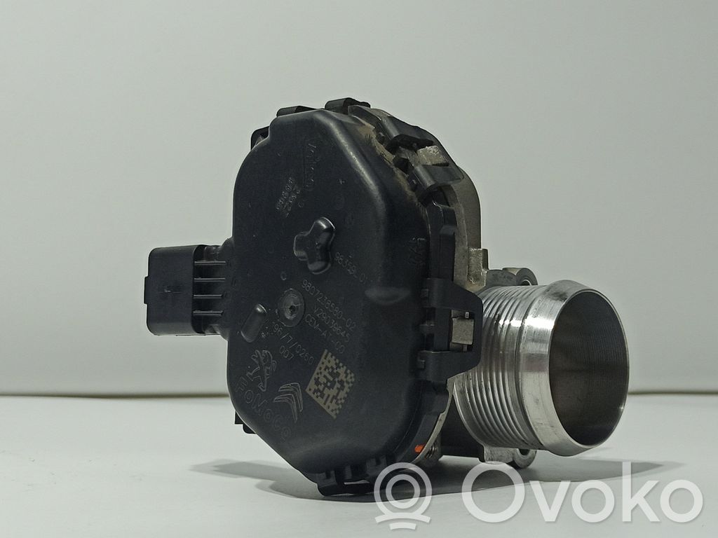 Drosselklappe   9807238580,V29039645