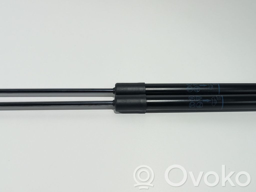 Citroen C3 Tailgate/trunk strut/damper 