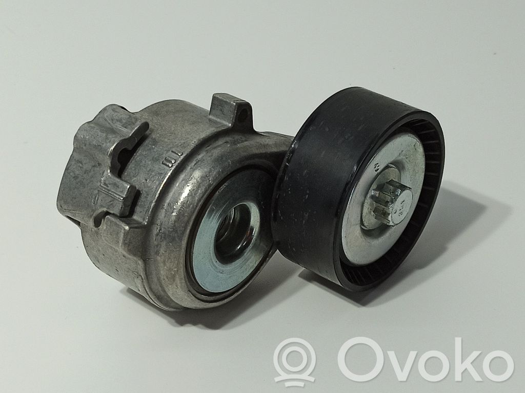 Citroen C3 Tendicinghia generatore/alternatore 