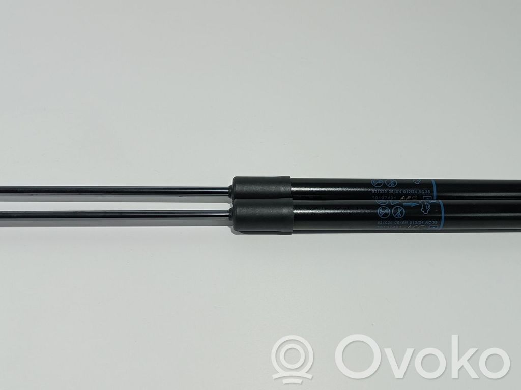 Citroen C3 Tailgate/trunk strut/damper 