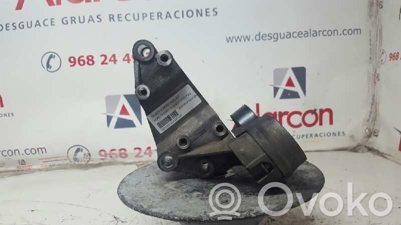 Ford Transit Diržo įtempėjas 
