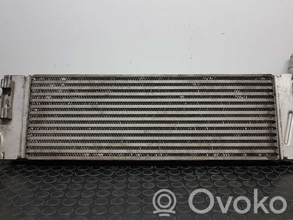 Interkūlerio radiatorius   8200468425