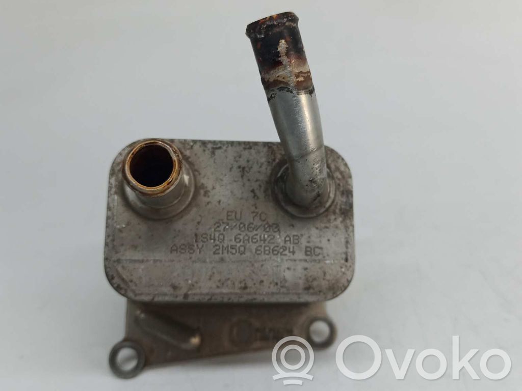 Ford Transit Engine oil radiator 