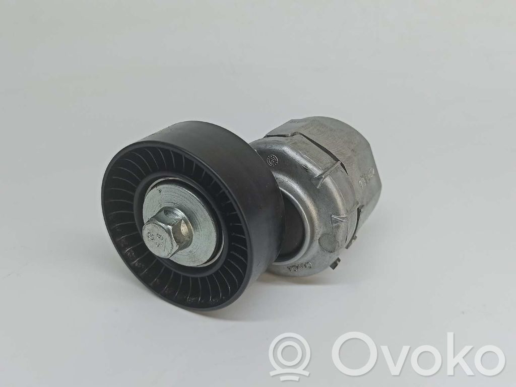 Napinacz paska alternatora   1004549,999262