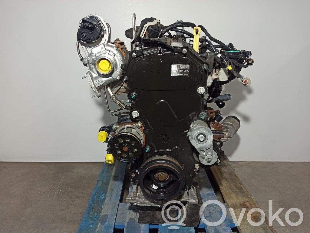 Variklis   P02X,T20DD0J,2616509
