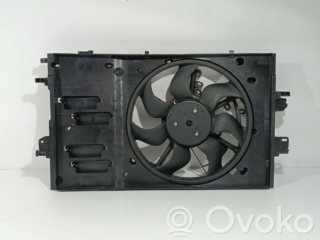Elektrolüfter   214818260R,214817571R