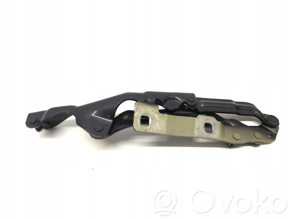 Tailgate/trunk/boot hinge   1667398,1551481,155148100D