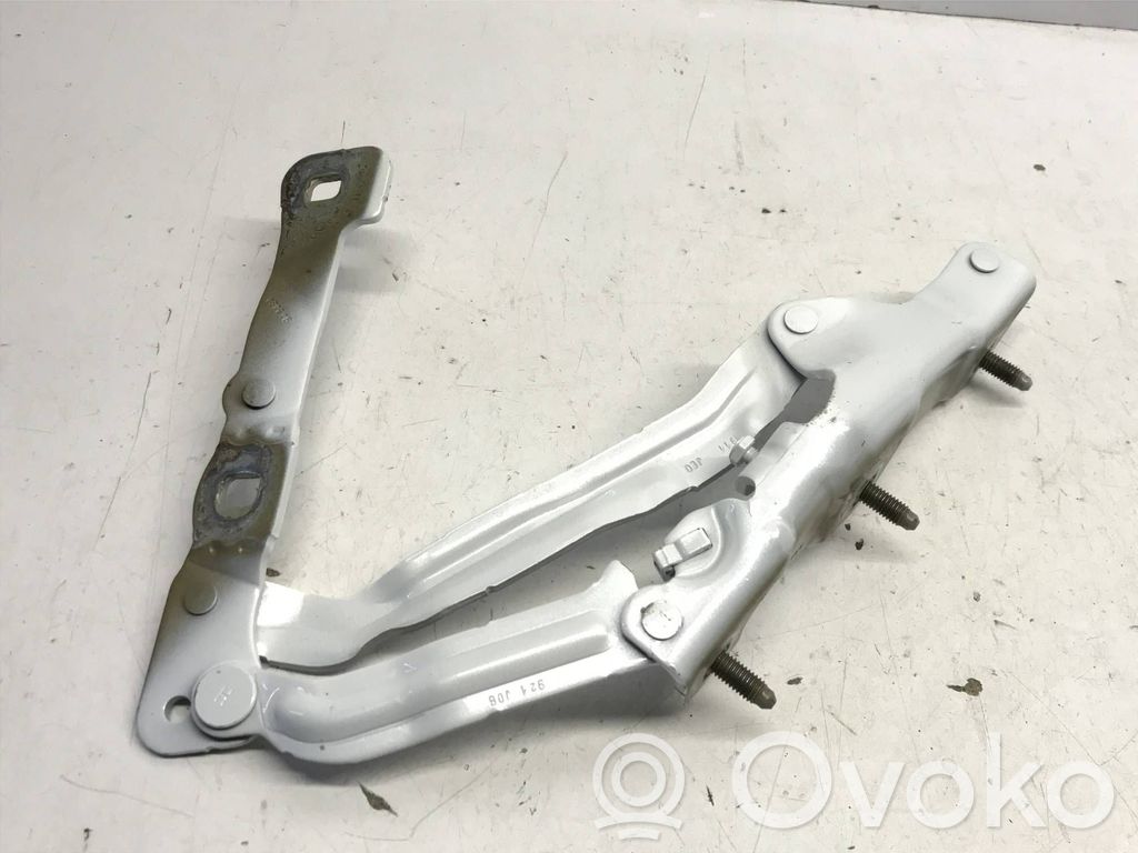 Tailgate/trunk/boot hinge   109282000D