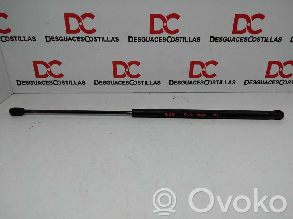 Ford Focus Tailgate/trunk strut/damper 
