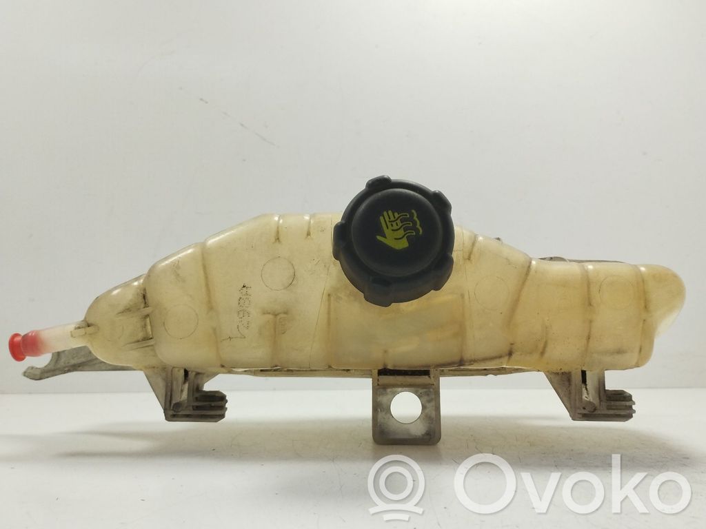 Renault Clio III Kuro išsiplėtimo bakelis 