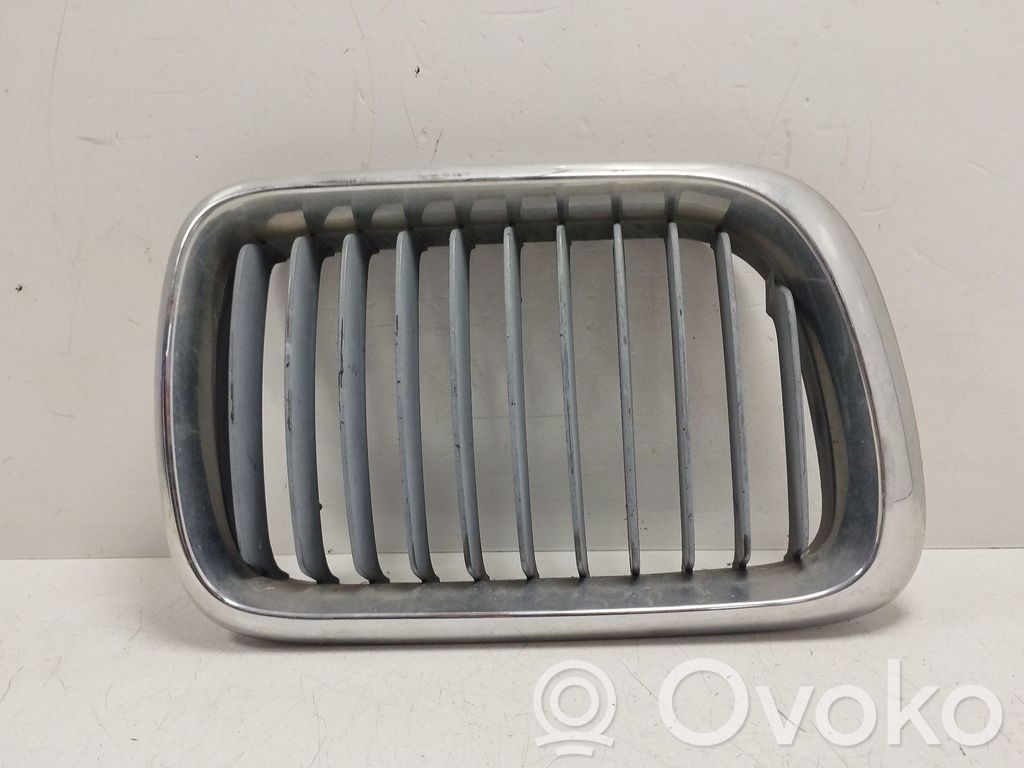Front grill   51138185802