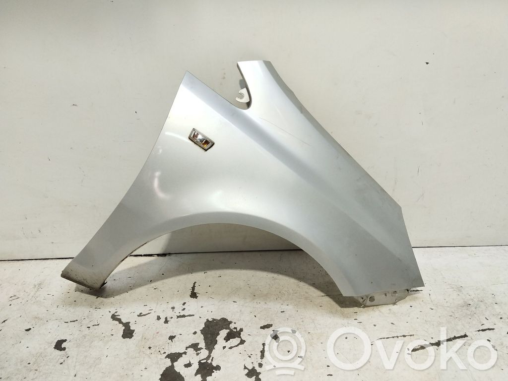 Guardabarro   93189644