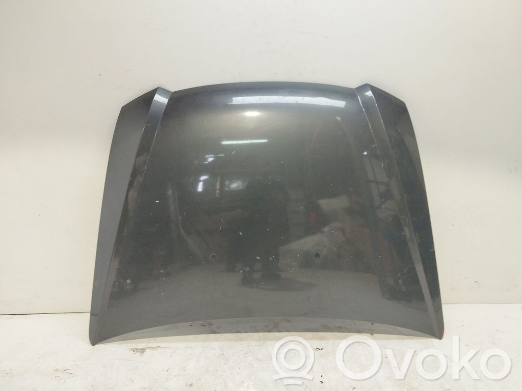 Fiat Stilo Capó/tapa del motor 