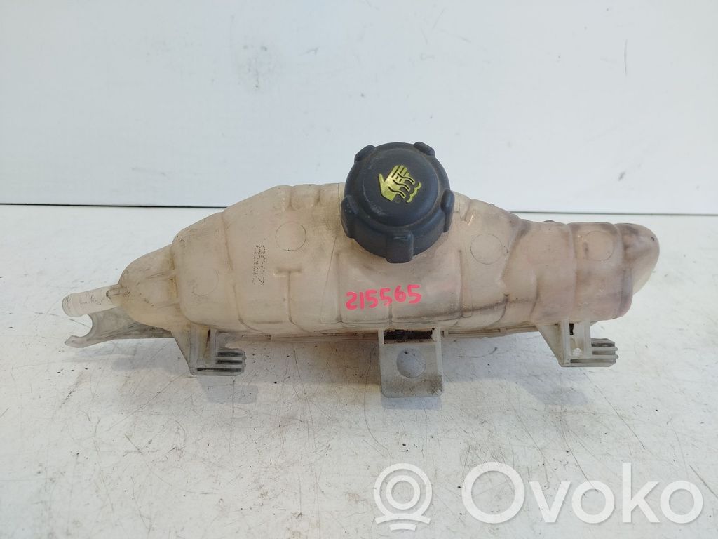 Renault Clio III Kuro išsiplėtimo bakelis 