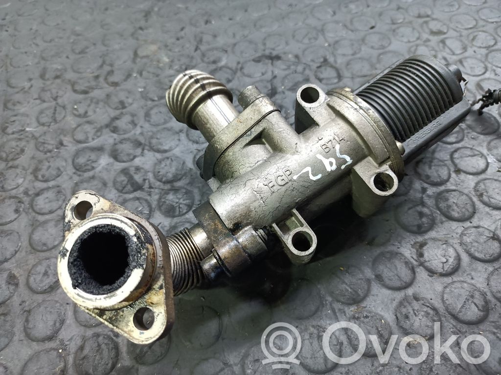 Fiat Stilo EGR valve 