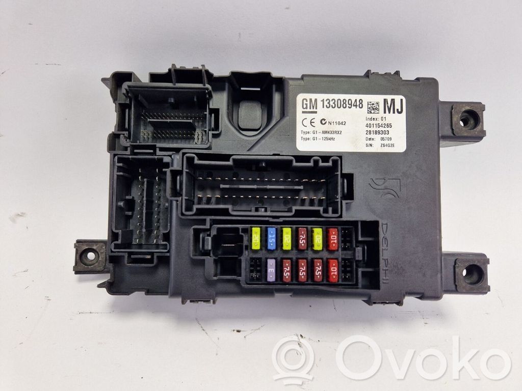 Fuse module   13308948