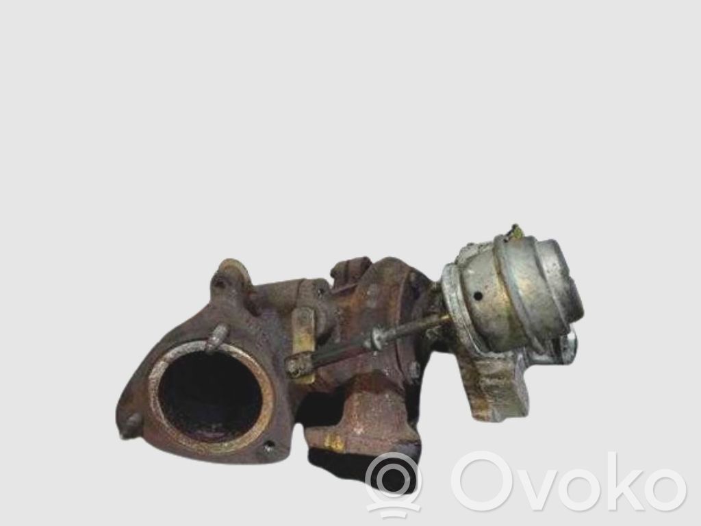 Turbo   24461826