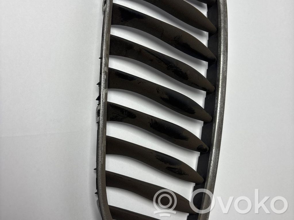 BMW Z4 E85 E86 Griglia anteriore 