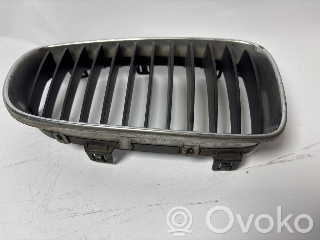 Front bumper lower grill   7166440