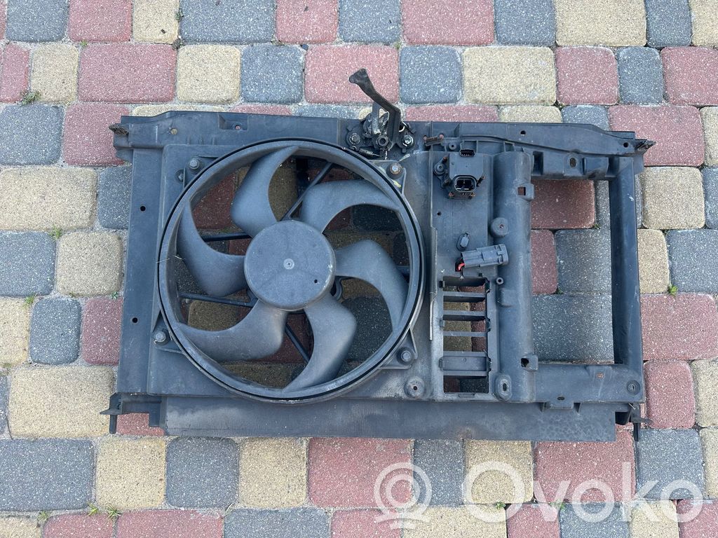 Peugeot 308 Radiatoru panelis 