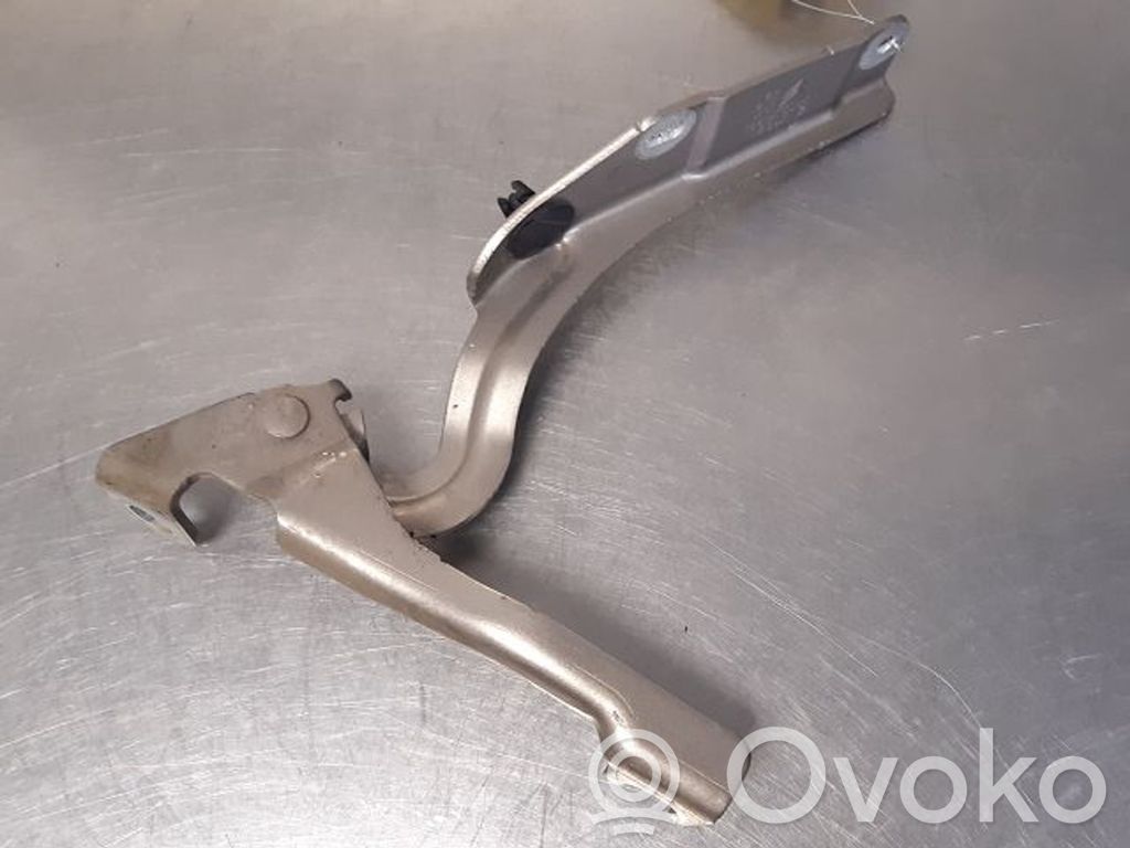 Citroen C3 Picasso Engine bonnet/hood hinges 