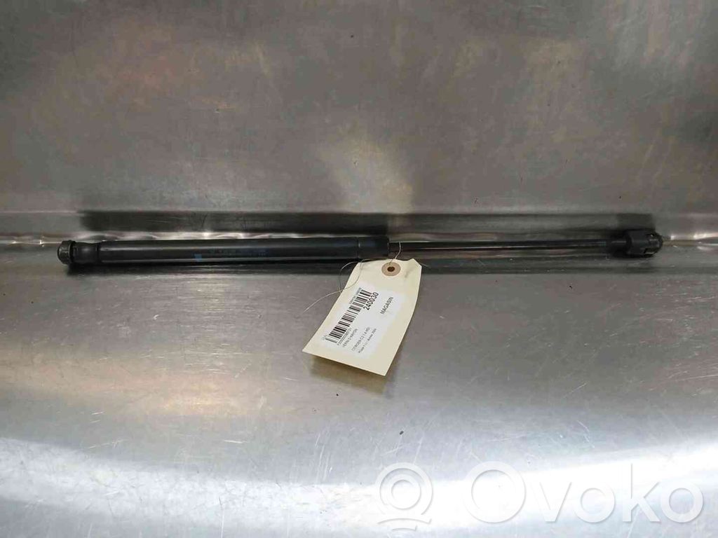Citroen C2 Tailgate strut 