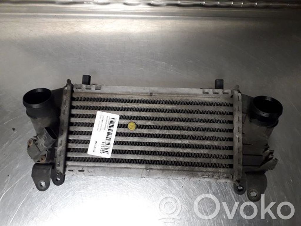Intercooler radiator   8Z0145805E