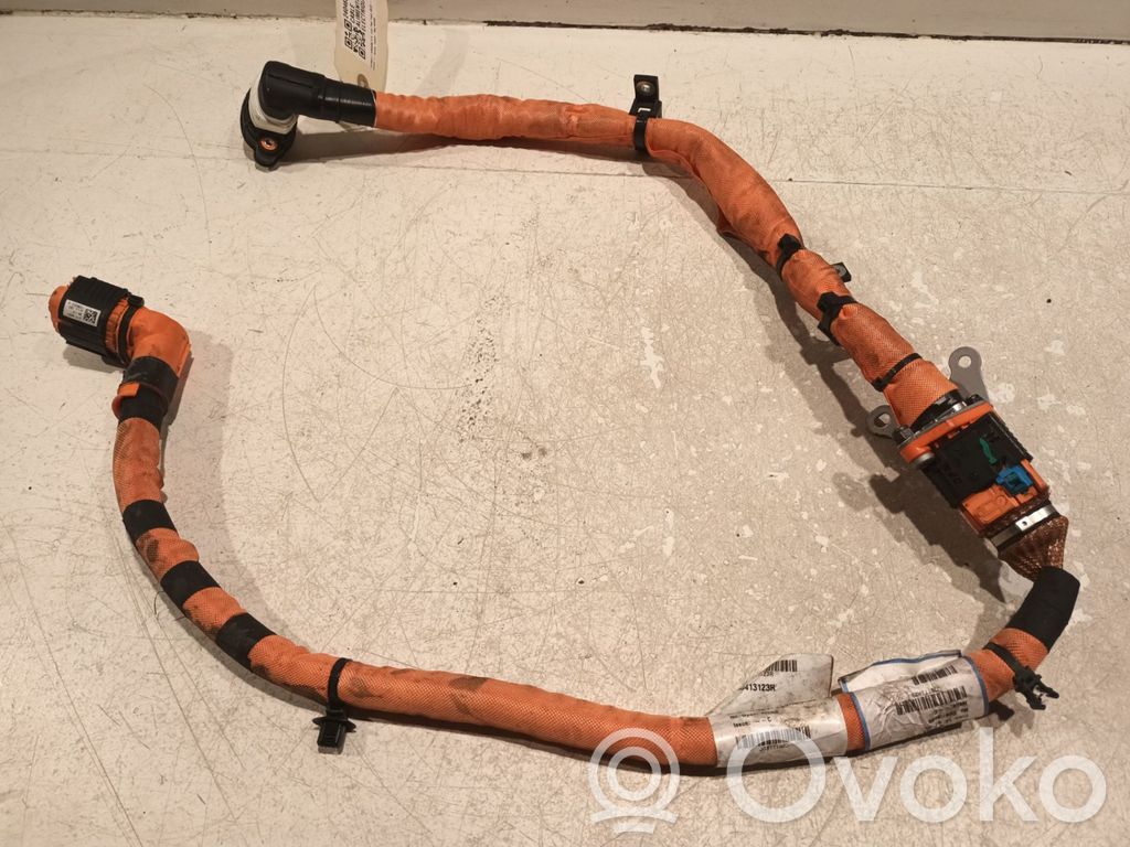 Renault Arkana Pluskaapeli (akku) 