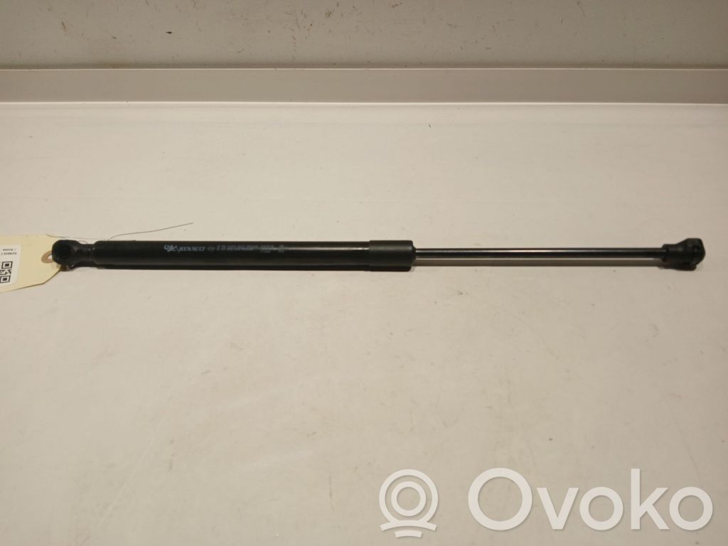 Tailgate strut   904526066R