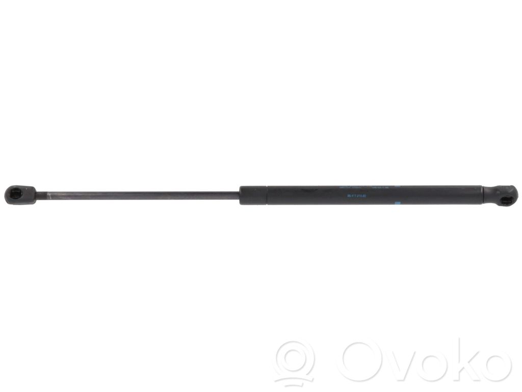 Tailgate strut   8731H8