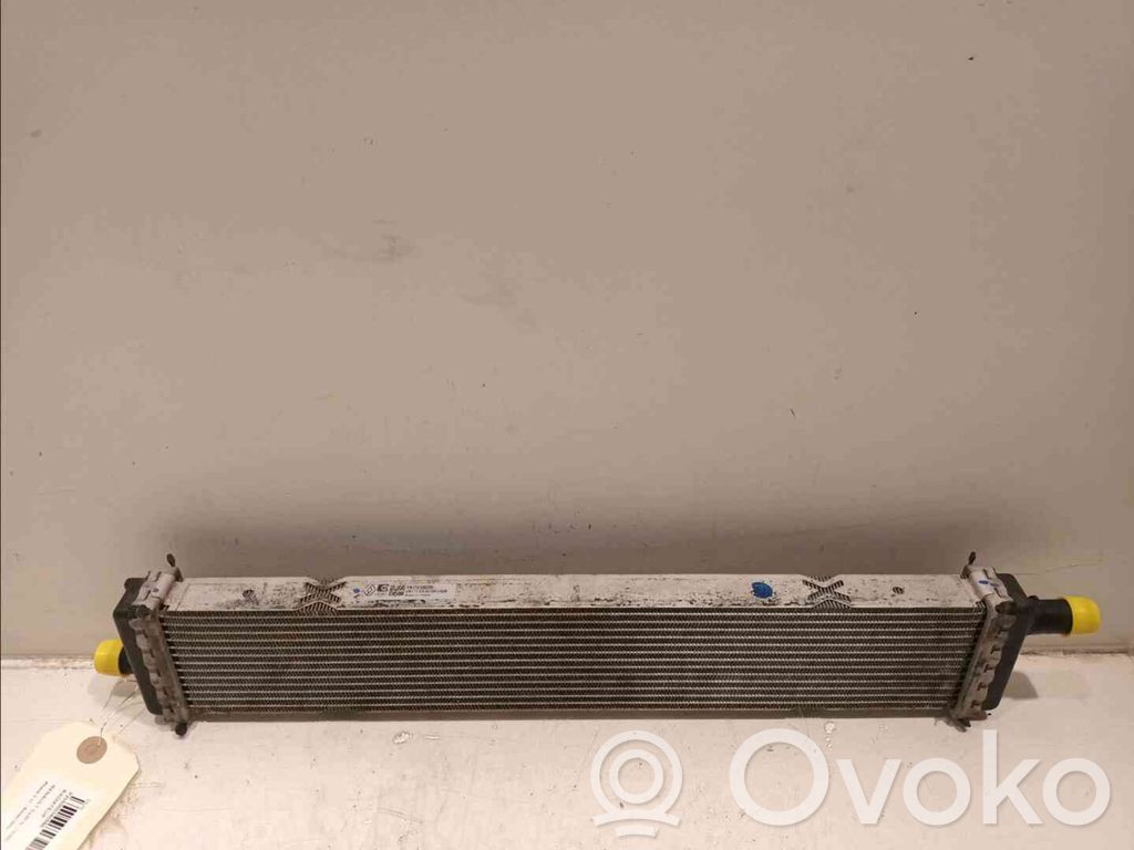 Renault Clio IV Optional radiator 