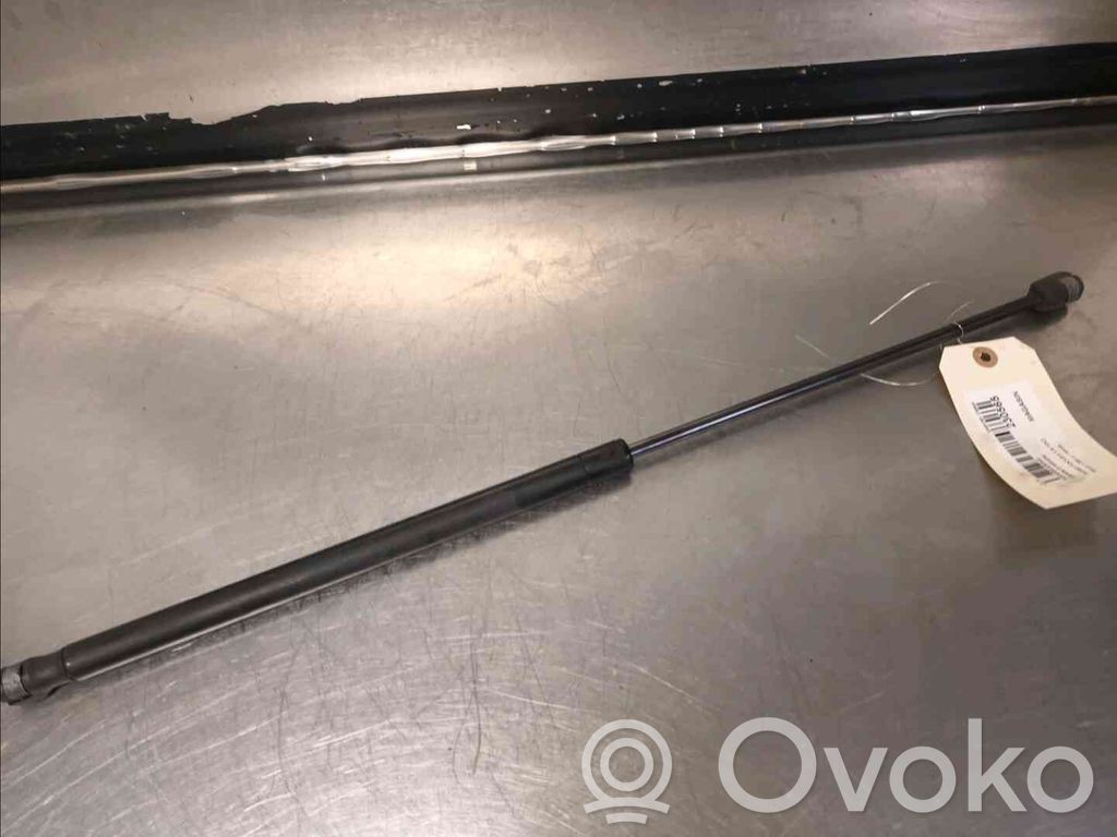 Tailgate strut   1349309