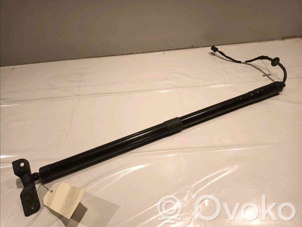 Tailgate strut   2229987