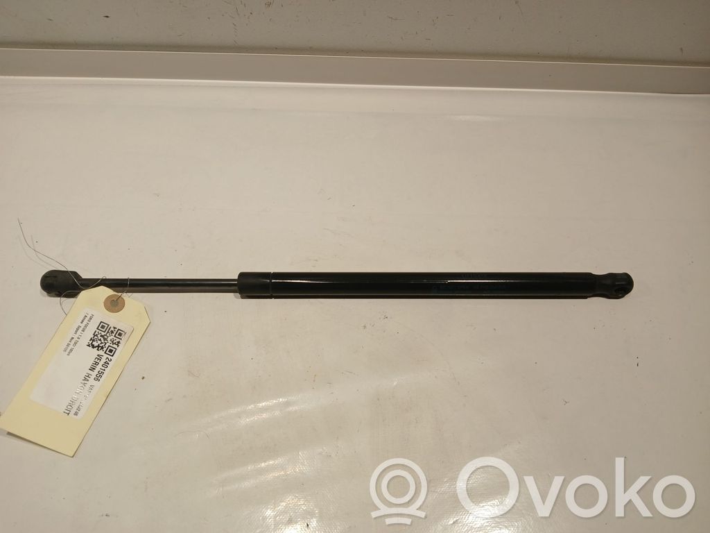Tailgate strut   1313218