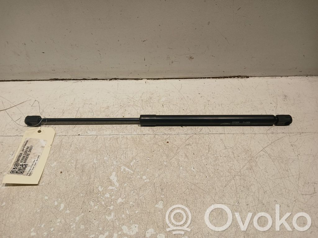 Tailgate strut   1757865