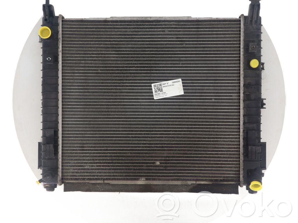 Nissan Note (E12) Coolant radiator 