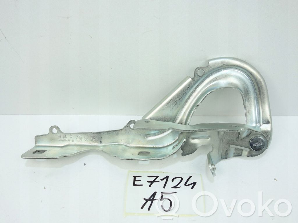 Scharnier Motorhaube   9812778580,9812778580A