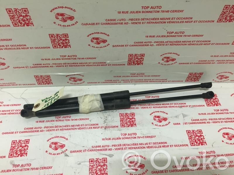 Renault Scenic I Rear window strut damper 