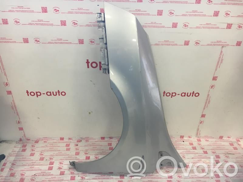 Renault Vel Satis Sparnas 