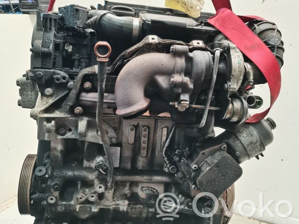 Motor