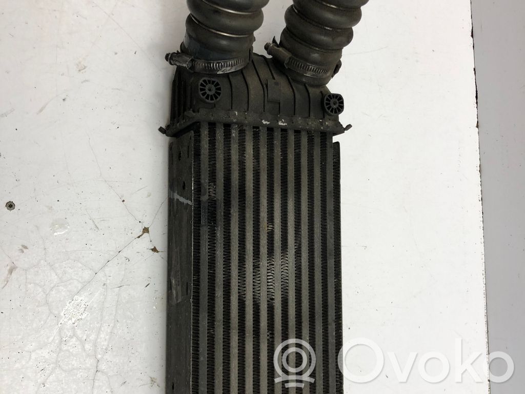 Peugeot 207 Intercooler radiator 