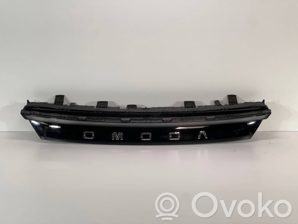 Front grill   605001121AA
