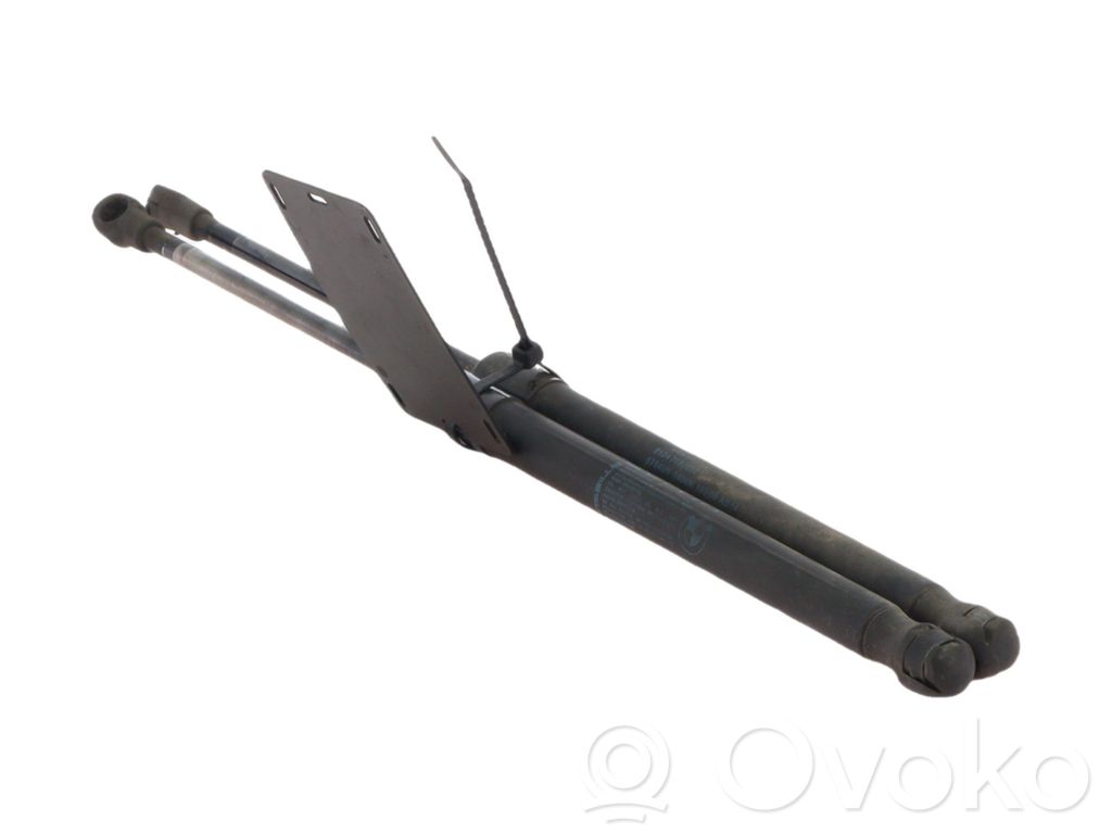 Tailgate/trunk strut/damper   51247060622