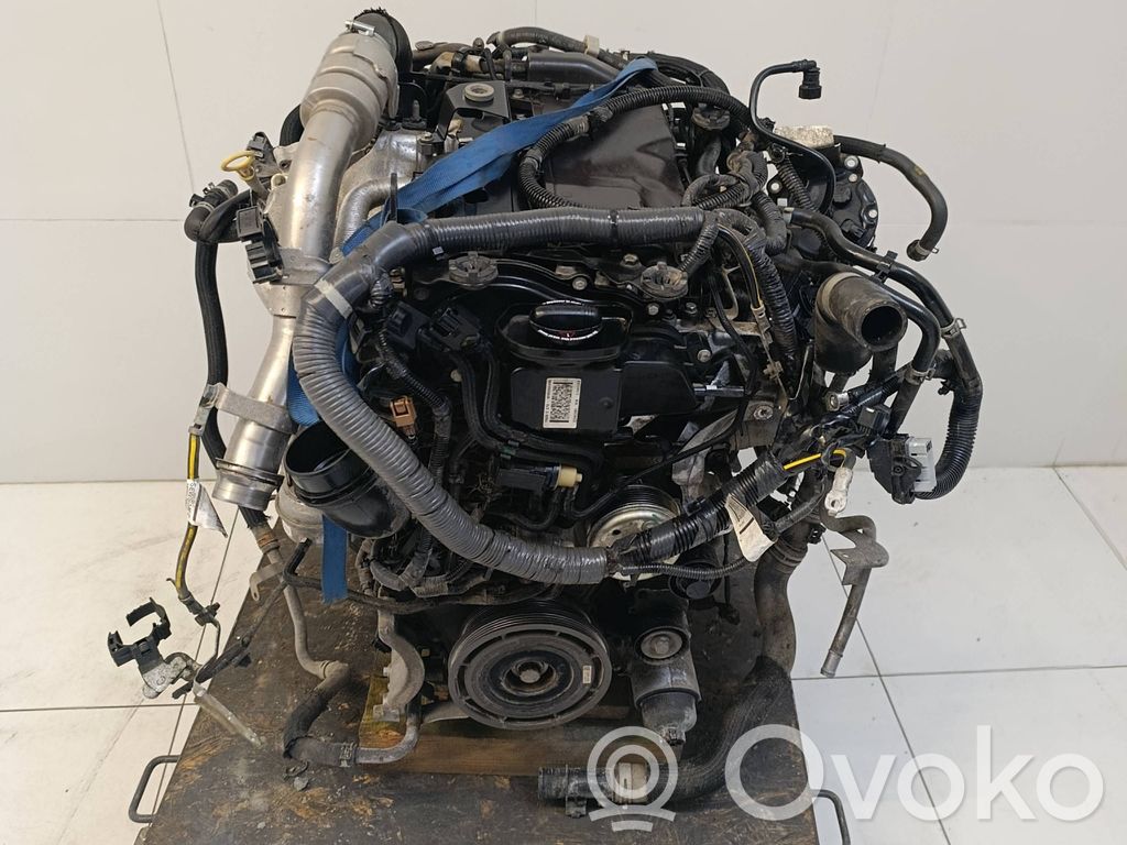 Renault Alaskan Motor 