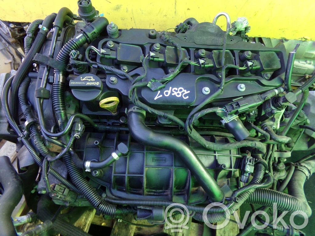 Ford Focus Turbo 