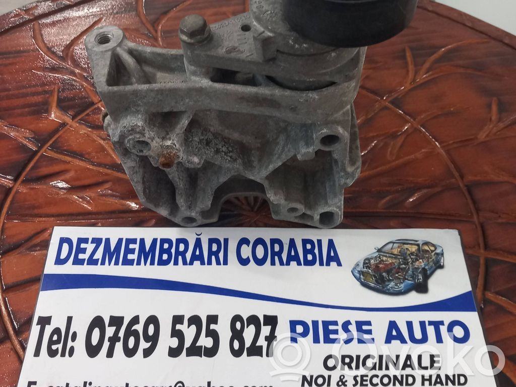 Citroen C3 Diržo įtempėjas 