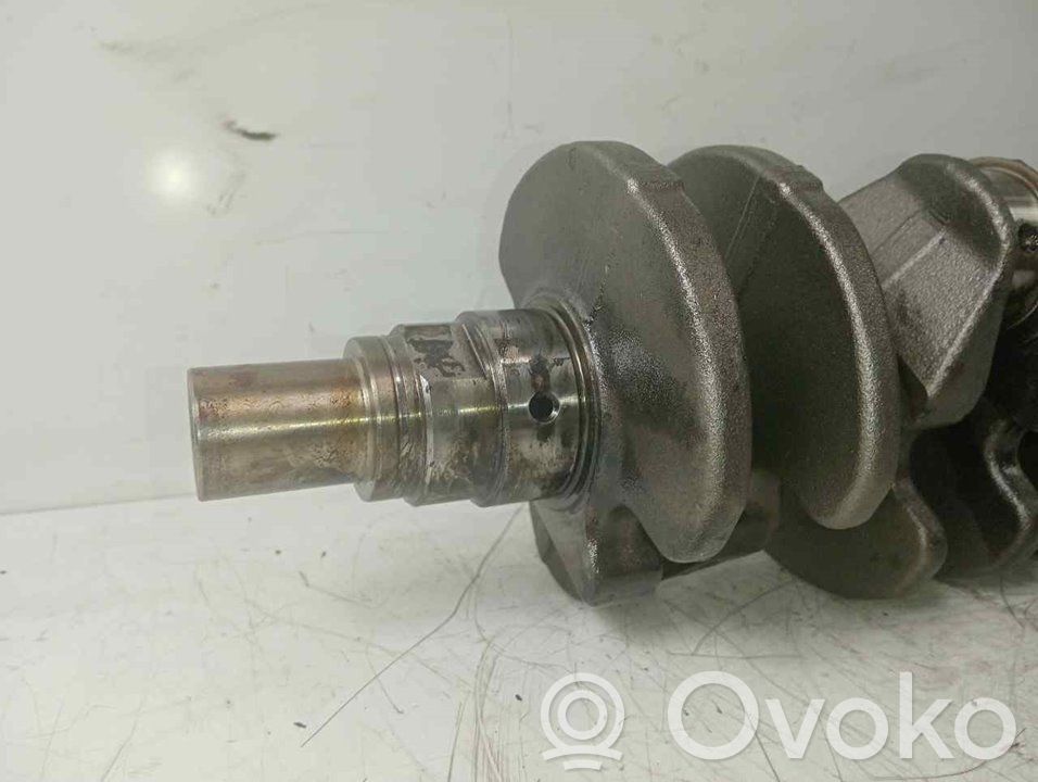 Ford Fiesta Arbore cotit 